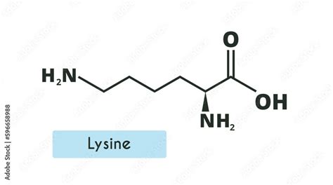 Vetor De Lysine Molecule Structure L Lysine Lys K Skeletal Formula