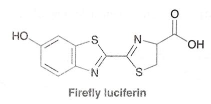 Firefly luciferin is the compound that enables fireflies to glow. a ...