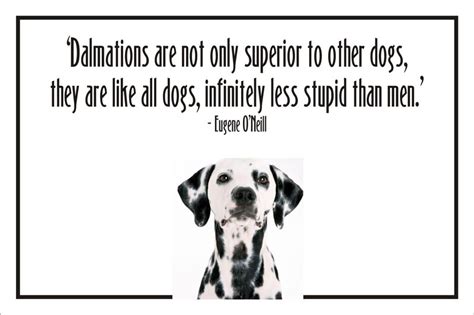 Dalmatian Quotes Quotesgram Pet Quotes Dog Dalmatian Dogs Dog Quotes