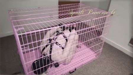 My Devoted Personal Slave 9 Nude Pics XHamster