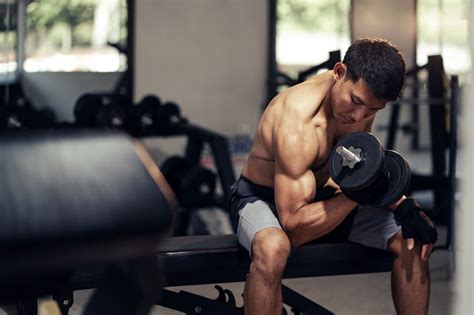 Muscle Hypertrophy A Beginners Guide To Building Muscle Healthy Life