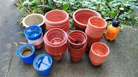 Flower Pots Gardening Furniture And Home Living Gardening Pots