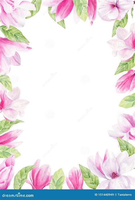 Blooming Magnolia Watercolor Hand Drawn Raster Frame Template Stock