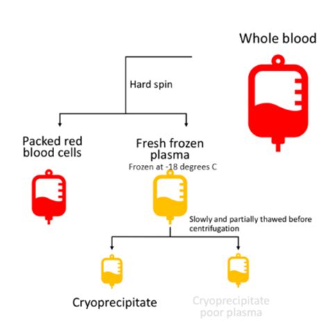 Blood Transfusion Sarah Flashcards Quizlet