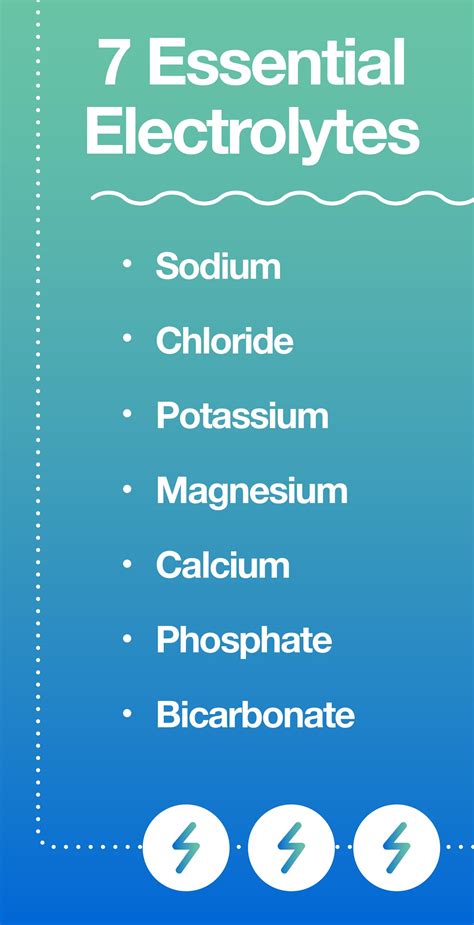 How to Maintain an Optimal Electrolyte Balance – The Amino Company 
