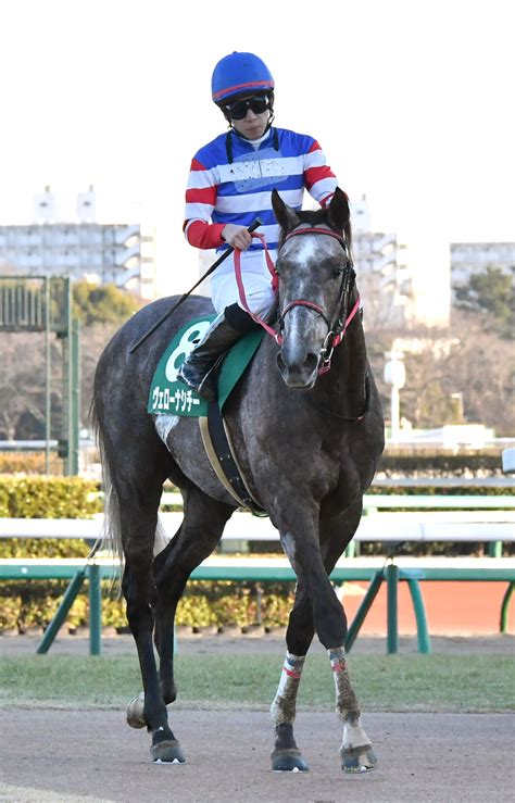 【勝羽の土曜競馬コラム・若葉s】 日刊ゲンダイ競馬