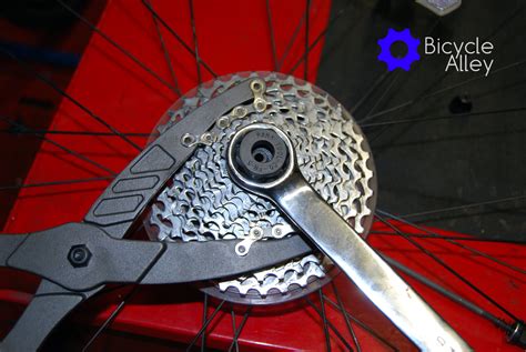 Tools Needed To Remove And Install A Shimano Sram 7 8 9 10 Speed Cassette Bicycle Alley