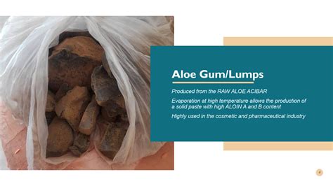 Aloe Vera - Phytochemicals – www.innaturebeans.com