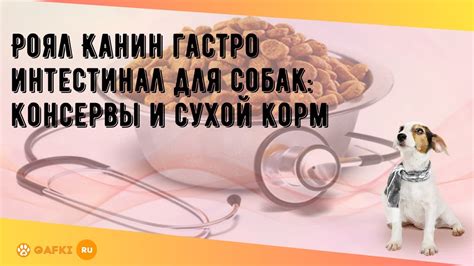 Роял Канин гастро интестинал для собак: консервы и сухой корм - YouTube