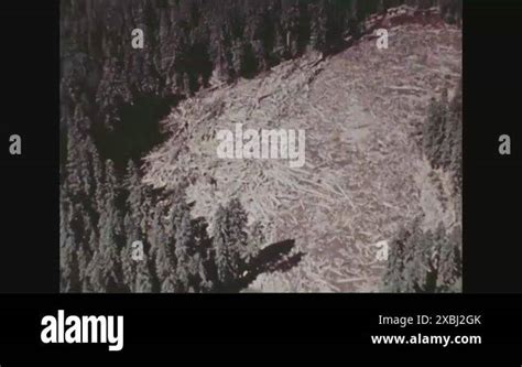 1980 An Aerial View Shows A Forested Area And Riverbed Still