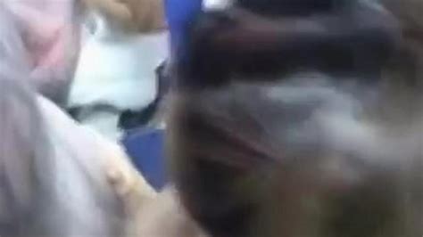 Sweet Dick Suck Tera Patrick Porn Videos