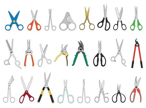 Kids Drawing Cartoon Vector Illustration Set Different Types Scissors