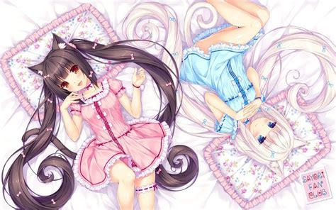 Anime Art Аниме Vanilla Chocola Nekopara Nekomimi Cat Girl