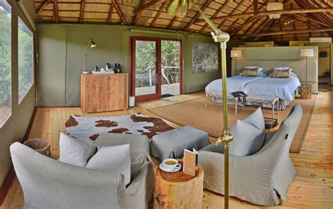 Shamwari Game Reserve African Wildlife Safaris