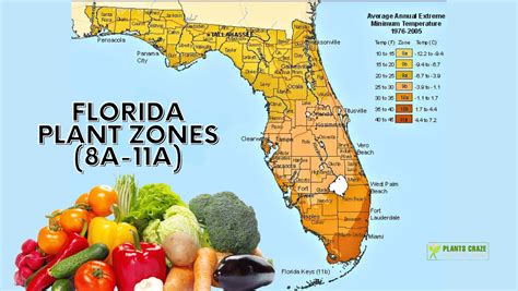 Florida Plant Zones [With 7 Tips to Grow Plants in The Zone]