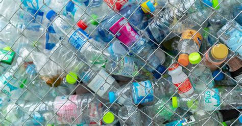 plastic waste  guide  businesses