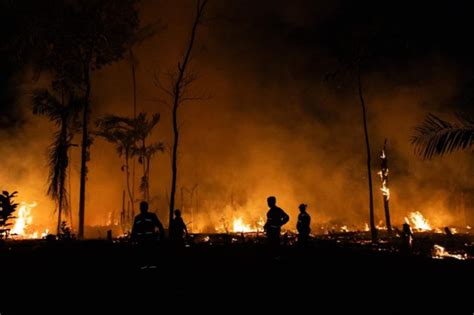 Stf Determina Que Governo Apresente Plano Contra Inc Ndios No Pantanal