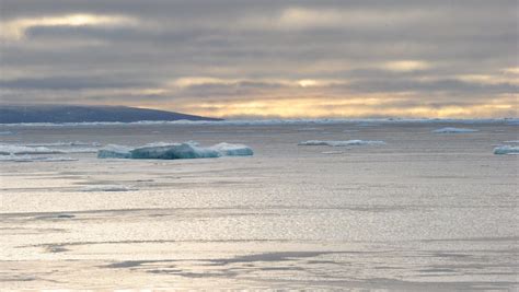 Old weather whaling logs could reveal our future climate