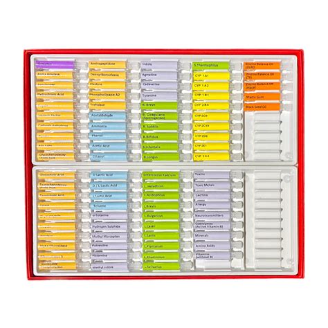 Gut & Liver Test Kit - Pure Health Solutions