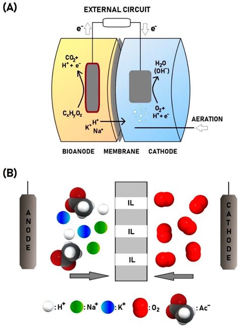 Membranes Free Full Text Development And Application Of Supported Ionic Liquid Membranes In