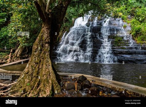 waterfalls  man ivory coast stock photo alamy