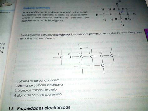 Solved En La Siguiente Estructura Se Alemos Los Carbonos Primarios