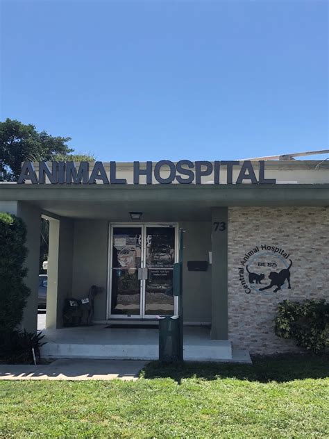 boca park animal hospital 6