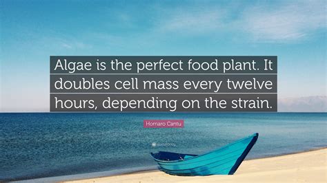 Homaro Cantu Quote: “Algae is the perfect food plant. It doubles cell ...