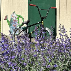 Fuck It We Ball Playlist By Tripz So2 Spotify