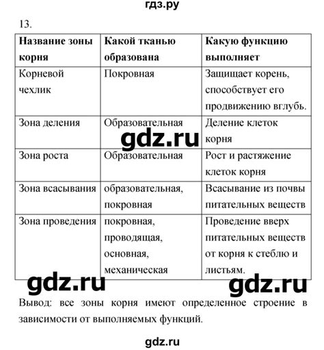 ГДЗ номер 13 биология 6 класс рабочая тетрадь Многообразие ...