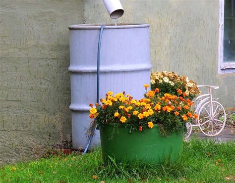 Regenwasser sammeln Ideen für Garten Balkon GEOmall at