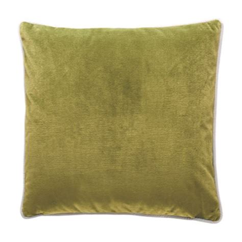 Luxury Velvet Cushion Oasis