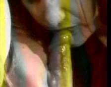 Vintage Retro Gypsies Curse Lesbian Lesbian Porn Xhamster