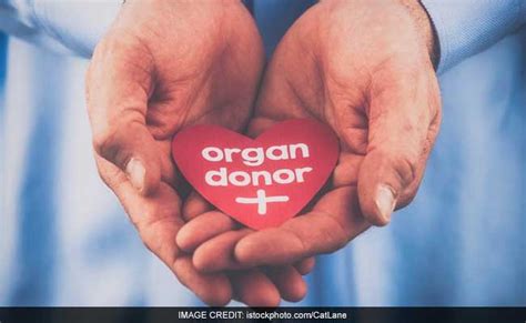 World Organ Donation Day 2021 History And Significance Of This Day