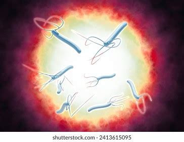 Helicobacter Pylori Gramnegative Flagellated Helical Bacterium Stock ... 