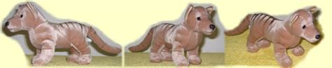 Tasmanian Tiger