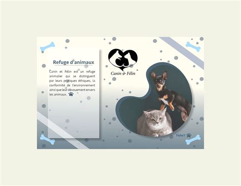 Canin Et Felin On Behance
