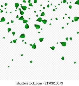 Forest Greens Organic Vector Transparent Background Stock Vector