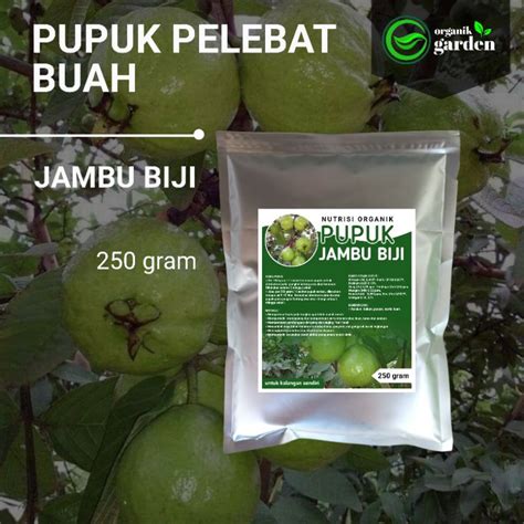 Jual Pupuk Pelebat Buah Jambu Biji Booster Melebatkan Secara Maksimal