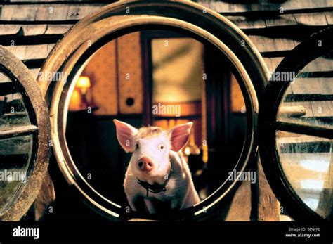 Pig In The City Babe The Pig High Resolution Stock Photography And Images Alamy