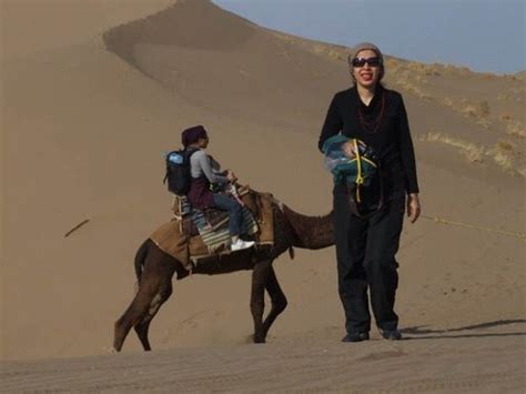 Shivar Siavoshan Tour And Travel Agency Tehran All You Need To Know