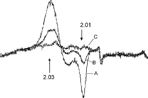 Fig Formation Of Dinitrosyl Iron Complex Dnic In Ly Cells Treated