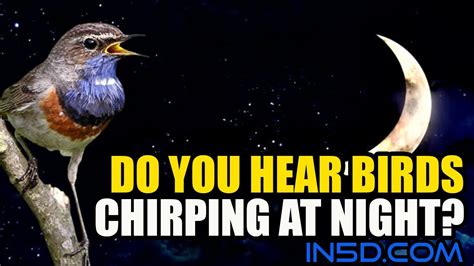 What Animal Makes A Chirping Sound at Charlie Skirving blog