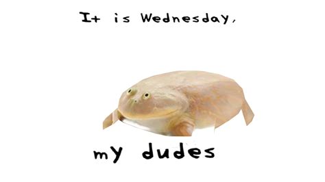 Sapo It Is Wednesday My Dudes Frog Meme Cute Love Memes 55 Off