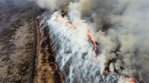 Incendios En El Delta Del Paraná El Humo Afecta Al Norte Y Volvería A