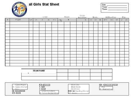 Volleyball - Stats Sheet | PDF