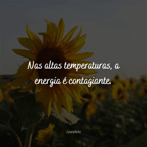 Frases Engracadas De Calor - Frases de calor para você: tem legendas, engraçadas e criativas