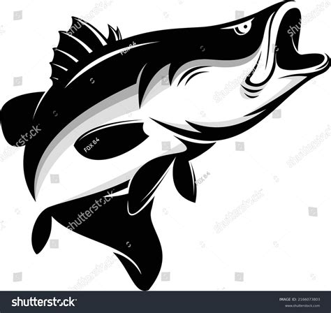 Barramundi Fish Vector Saltwater Fishing Logo Stock Vector Royalty