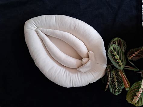 Vulva Anatomy Set Vulva Cushions Sex Education Gadget Pussy Etsy Canada