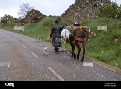 Pilgrim Walking Through The Village Of Manjarin Camino De Santiago